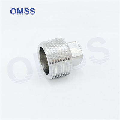 Stainless Steel Screwed Pipe Fittings 304 Square Hexagon Male Threaded Pipe Connector Plug