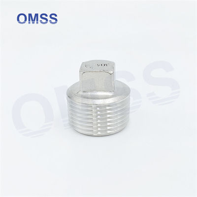 Stainless Steel Screwed Pipe Fittings 304 Square Hexagon Male Threaded Pipe Connector Plug